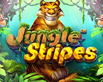 Jungle Stripes Jungle Stripes