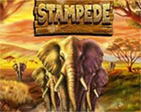 Stampede Stampede