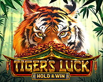 Tiger`s Luck - Hold & Win Tiger`s Luck - Hold & Win