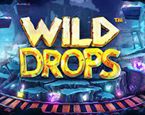 Wild Drops Wild Drops