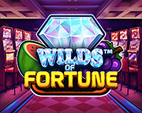 Wilds of Fortune Wilds of Fortune