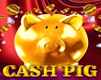Cash Pig Cash Pig