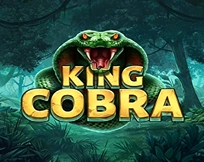 King Cobra King Cobra