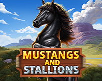 Mustang and Stallions Mustang and Stallions