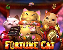 Fortune Cat Fortune Cat