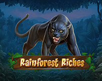 Rainforest Riches Rainforest Riches