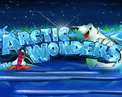 Arctic Wonders Arctic Wonders