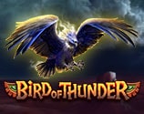 Bird of Thunder Bird of Thunder