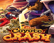 Coyote Crash Coyote Crash