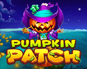 Pumpkin Patch Pumpkin Patch