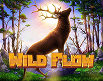 Wild Flow Wild Flow