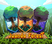 One Million Trees Day One Million Trees Day