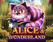 ALICE WONDERLAND MC ALICE WONDERLAND MC