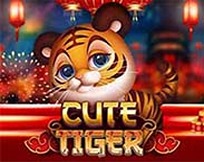 CUTE TIGER MC CUTE TIGER MC