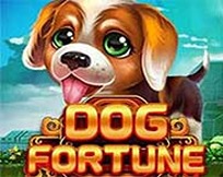 DOG FORTUNE MC DOG FORTUNE MC