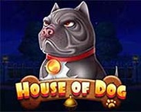 HOUSE OF DOG MC HOUSE OF DOG MC