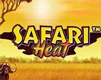 SAFARI HEAT MC SAFARI HEAT MC