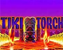 TIKI TORCH MC TIKI TORCH MC