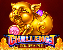 Feature Buy.Golden Pig Feature Buy.Golden Pig