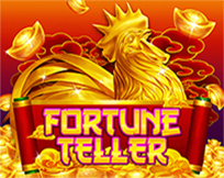 FORTUNE TELLER Playstar FORTUNE TELLER Playstar