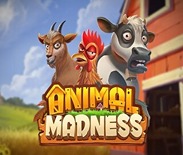 Animal Madness Animal Madness