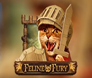 Feline Fury Feline Fury