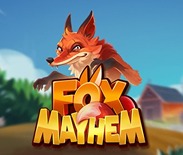 Fox Mayhem Fox Mayhem
