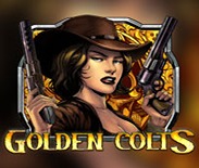Golden Colts Golden Colts