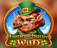 Leprechaun Goes Wild Leprechaun Goes Wild