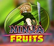 Ninja Fruits Ninja Fruits