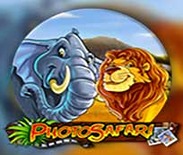 Photo Safari Photo Safari