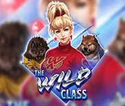 The Wild Class The Wild Class