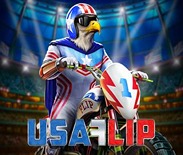 USA Flip USA Flip