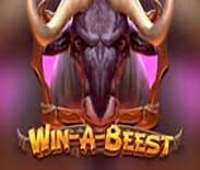 Win A Beest Win A Beest