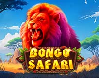Bongo Safari Bongo Safari