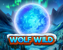 Wolf Wild Wolf Wild
