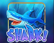 Shark Shark
