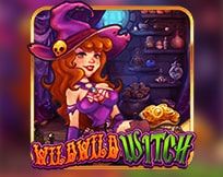 Wild Wild Witch Wild Wild Witch
