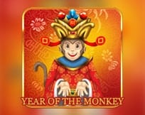 Year Of The Monkey Year Of The Monkey