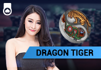 Dragon Tiger Hogaming Dragon Tiger Hogaming