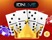 Domino Live Domino Live